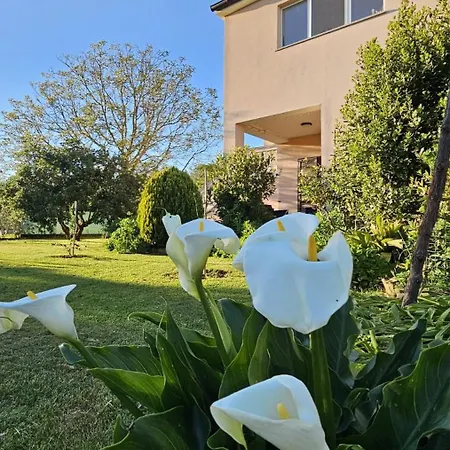 Appartamento Da Vjeri Póla Kültér fotó