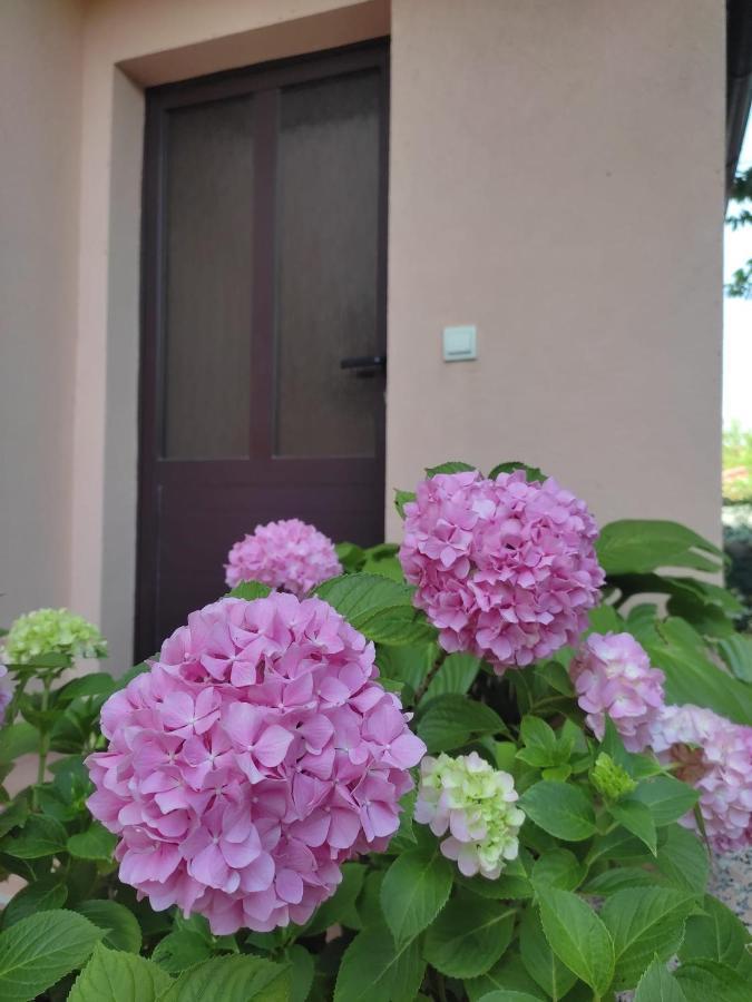 Da Vjeri Apartment *
